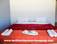 Pangong Ser Bum Tso Resort Double Bedroom